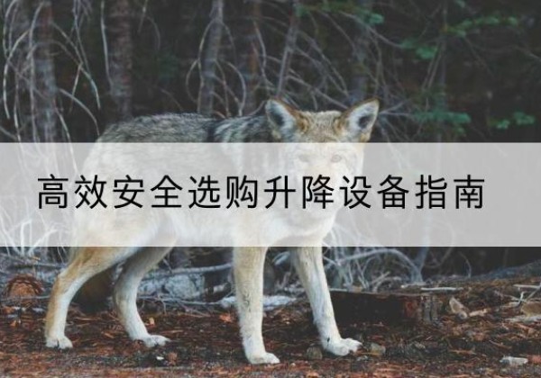 北安升降货梯厂家推荐-*安全选购升降设备指南