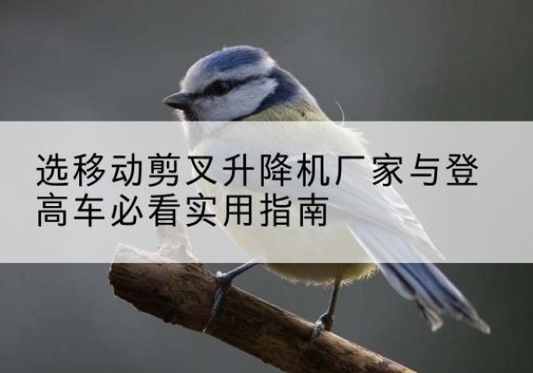 北安电动升降机厂家-选移动剪叉升降机厂家与登高车必看实用指南
