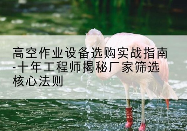 北安剪叉式升降机厂家-高空作业设备选购实战指南-十年工程师揭秘厂家筛选核心法则